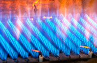 Moor Crichel gas fired boilers